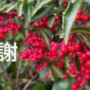 ヒメ日記 2025/12/26 20:45 投稿 みずほ 人妻の楽園（博多）