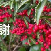 ヒメ日記 2025/12/26 20:56 投稿 みずほ 人妻の楽園（博多）