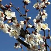 ヒメ日記 2026/02/28 21:03 投稿 みずほ 人妻の楽園（博多）