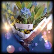 ヒメ日記 2025/04/10 19:28 投稿 せいか 人妻の楽園（博多）