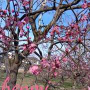 ヒメ日記 2025/03/04 13:28 投稿 辺見 人妻楼 熊谷店