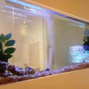 ヒメ日記 2025/05/04 10:50 投稿 辺見 人妻楼 熊谷店