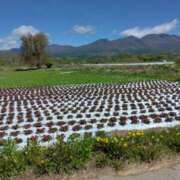 ヒメ日記 2025/05/21 20:36 投稿 松木香奈美 五十路マダム静岡店（カサブランカG）