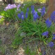 ヒメ日記 2025/07/22 12:08 投稿 松木香奈美 五十路マダム静岡店（カサブランカG）