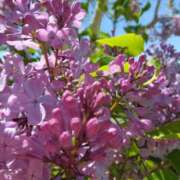 ヒメ日記 2025/07/24 15:32 投稿 松木香奈美 五十路マダム静岡店（カサブランカG）