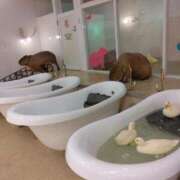 松木香奈美 8/28　丸子で初めてお誘い下さったS様 五十路マダム静岡店（カサブランカG）