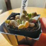 ヒメ日記 2026/03/12 09:22 投稿 愛染(あいぞめ) 立川人妻研究会