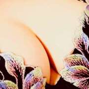 ヒメ日記 2024/12/15 01:31 投稿 よしこ しろうさぎ