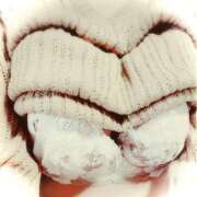 ヒメ日記 2024/12/17 20:05 投稿 よしこ しろうさぎ