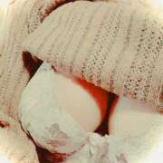 ヒメ日記 2024/12/17 22:51 投稿 よしこ しろうさぎ