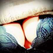 ヒメ日記 2024/12/20 23:01 投稿 よしこ しろうさぎ