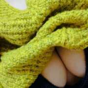 ヒメ日記 2025/01/03 17:31 投稿 よしこ しろうさぎ