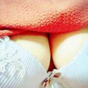 ヒメ日記 2025/03/13 23:43 投稿 よしこ しろうさぎ