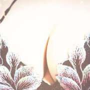 ヒメ日記 2025/03/21 00:13 投稿 よしこ しろうさぎ