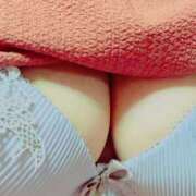 ヒメ日記 2025/04/03 14:23 投稿 よしこ しろうさぎ