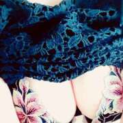 ヒメ日記 2025/07/01 01:03 投稿 よしこ しろうさぎ