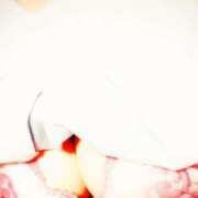 ヒメ日記 2025/08/02 21:43 投稿 よしこ しろうさぎ