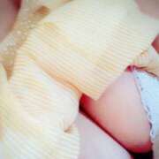 ヒメ日記 2025/08/06 23:53 投稿 よしこ しろうさぎ