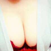 ヒメ日記 2025/10/01 23:23 投稿 よしこ しろうさぎ