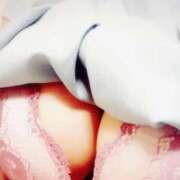 ヒメ日記 2025/10/18 19:13 投稿 よしこ しろうさぎ