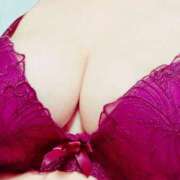 ヒメ日記 2025/10/30 22:53 投稿 よしこ しろうさぎ