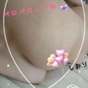 ヒメ日記 2024/06/20 12:22 投稿 桜木しおり 五十路マダム姫路店