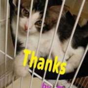 桜木しおり 仲良しT様ありがとうございます 五十路マダム姫路店