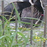 ヒメ日記 2025/03/18 17:06 投稿 まお 倶楽部愛