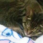 ヒメ日記 2025/04/10 16:54 投稿 まお 倶楽部愛