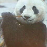 ヒメ日記 2025/04/26 14:06 投稿 まお 倶楽部愛