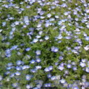 ヒメ日記 2025/05/03 16:33 投稿 まお 倶楽部愛