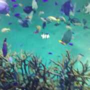 ヒメ日記 2025/07/26 15:53 投稿 まお 倶楽部愛