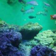 ヒメ日記 2025/07/31 13:51 投稿 まお 倶楽部愛