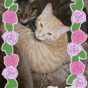 ヒメ日記 2025/08/22 13:22 投稿 まお 倶楽部愛