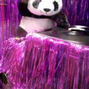 ヒメ日記 2025/08/29 17:59 投稿 まお 倶楽部愛