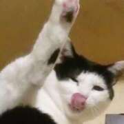 ヒメ日記 2025/09/25 12:19 投稿 まお 倶楽部愛