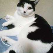 ヒメ日記 2025/09/26 17:29 投稿 まお 倶楽部愛