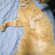 ヒメ日記 2025/09/27 13:04 投稿 まお 倶楽部愛