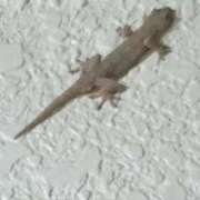 まお 出勤中👧 倶楽部愛