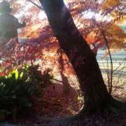 まお 六義園🍁 倶楽部愛