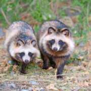 まお 感謝を込めて 倶楽部愛