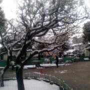 ヒメ日記 2026/02/10 16:14 投稿 まお 倶楽部愛