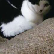 ヒメ日記 2026/02/18 19:36 投稿 まお 倶楽部愛