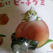 ヒメ日記 2026/02/26 19:00 投稿 まお 倶楽部愛