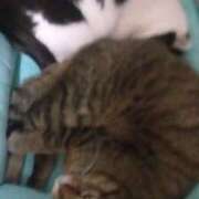 ヒメ日記 2026/03/19 13:28 投稿 まお 倶楽部愛