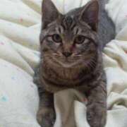 ヒメ日記 2026/03/21 13:41 投稿 まお 倶楽部愛