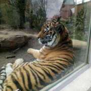 ヒメ日記 2026/04/10 14:47 投稿 まお 倶楽部愛