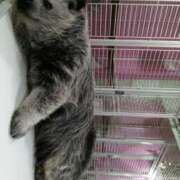 ヒメ日記 2026/04/21 16:34 投稿 まお 倶楽部愛