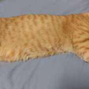 ヒメ日記 2026/04/23 15:24 投稿 まお 倶楽部愛