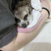 ヒメ日記 2026/04/24 15:59 投稿 まお 倶楽部愛